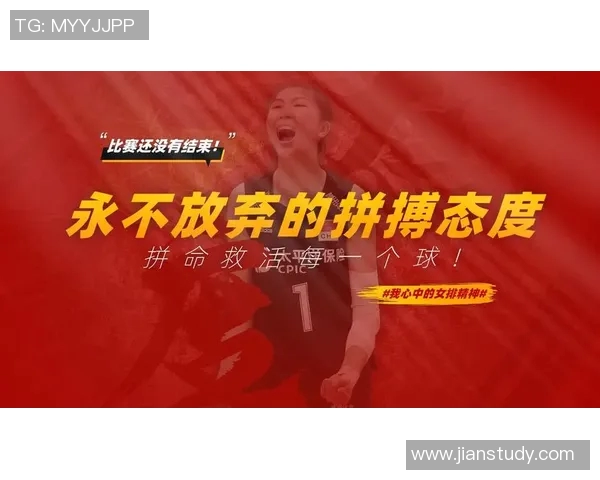 深圳排球队的奋斗历程与世界杯梦想的追逐之路